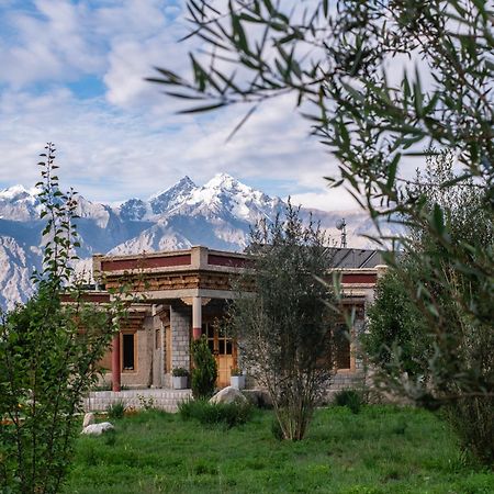 Hotel Lchang Nang Retreat-The House Of Trees-Nubra Valley à Sumur Extérieur photo