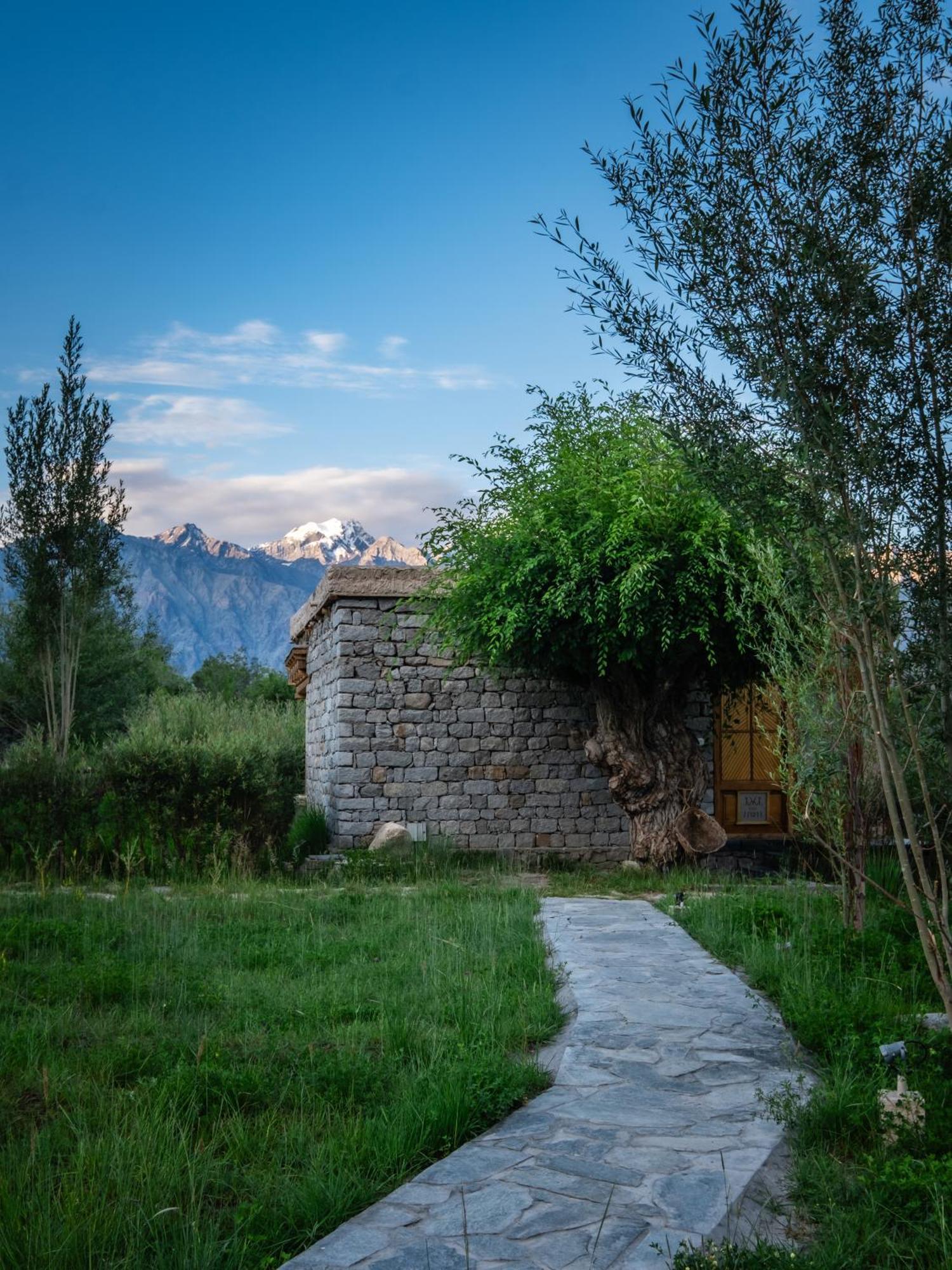 Hotel Lchang Nang Retreat-The House Of Trees-Nubra Valley à Sumur Extérieur photo